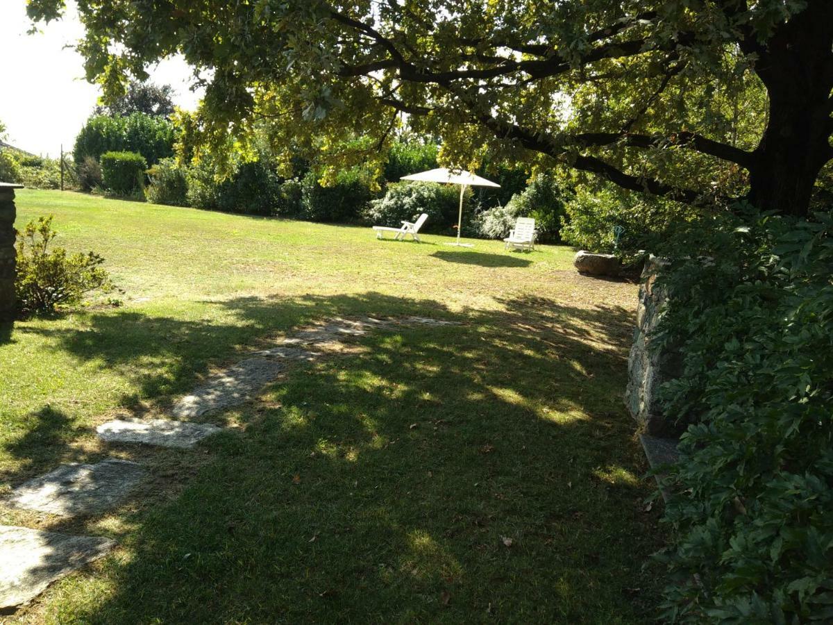 Il Glicine Bed and Breakfast Zimone Buitenkant foto